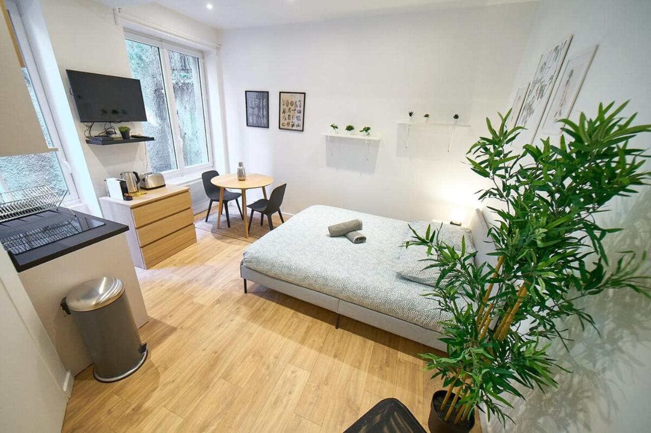 Le Petit Pierre Scize - Quais De Saone Apartment Lyon Exterior photo